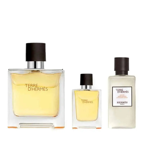 Hermes Terre D'Hermes Men Gift Set (75ML+MINI 5ML+S/GEL 40ML)