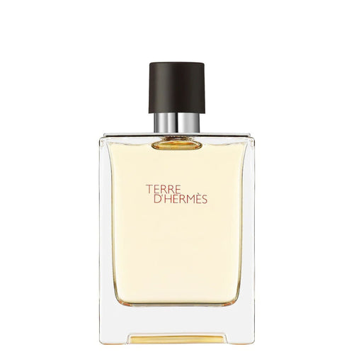 Hermes Terre D Hermes Edt Perfume For Men 100Ml