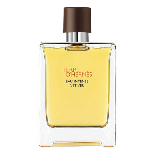 Hermes Terre D'Eau Intense Vetiver Edp Perfume For Women 100Ml